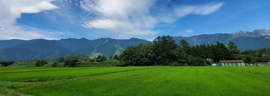 メインバーナー